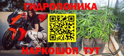 apvp Берёзовский