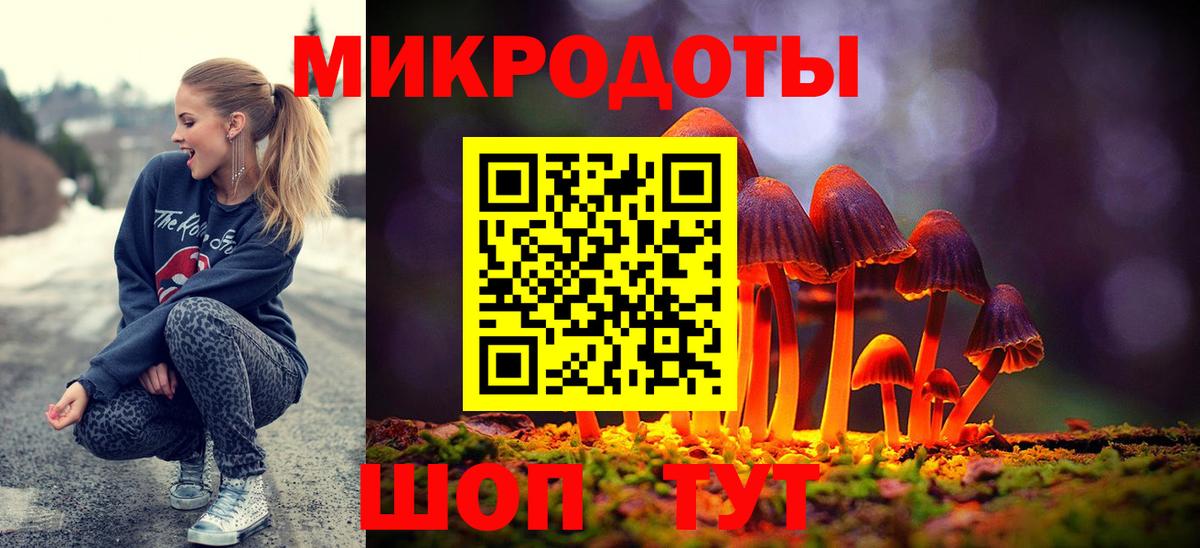 Псилоцибиновые грибы мицелий Йошкар-Ола