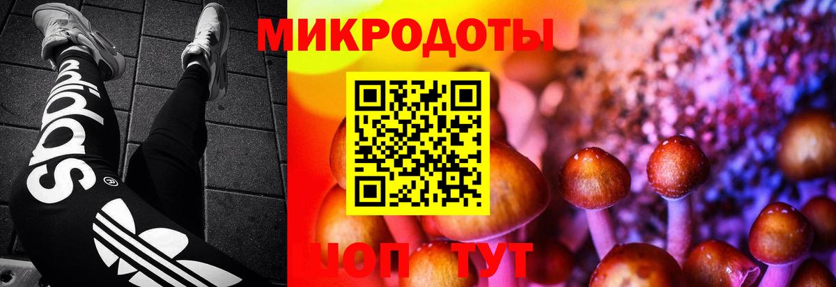 Йошкар-Ола  Псилоцибиновые грибы Psilocybe  Вход с VPN 